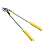 Hectare Precision Anvil Lopper – Premium Precision