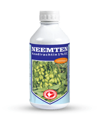 Neemten