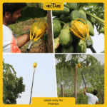 Hectare Hectare Papaya Harvester (Without Pole) – Premium Fruit Harvesters - Image 3