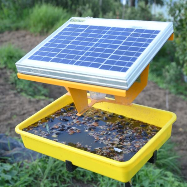 Hectare Solar Insect Trap – Premium Crop Protection