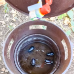 BUCKET TRAP (PT119) for RPW, Beetle & White Grub Lures | GREEN REVOLUTION - Image 5
