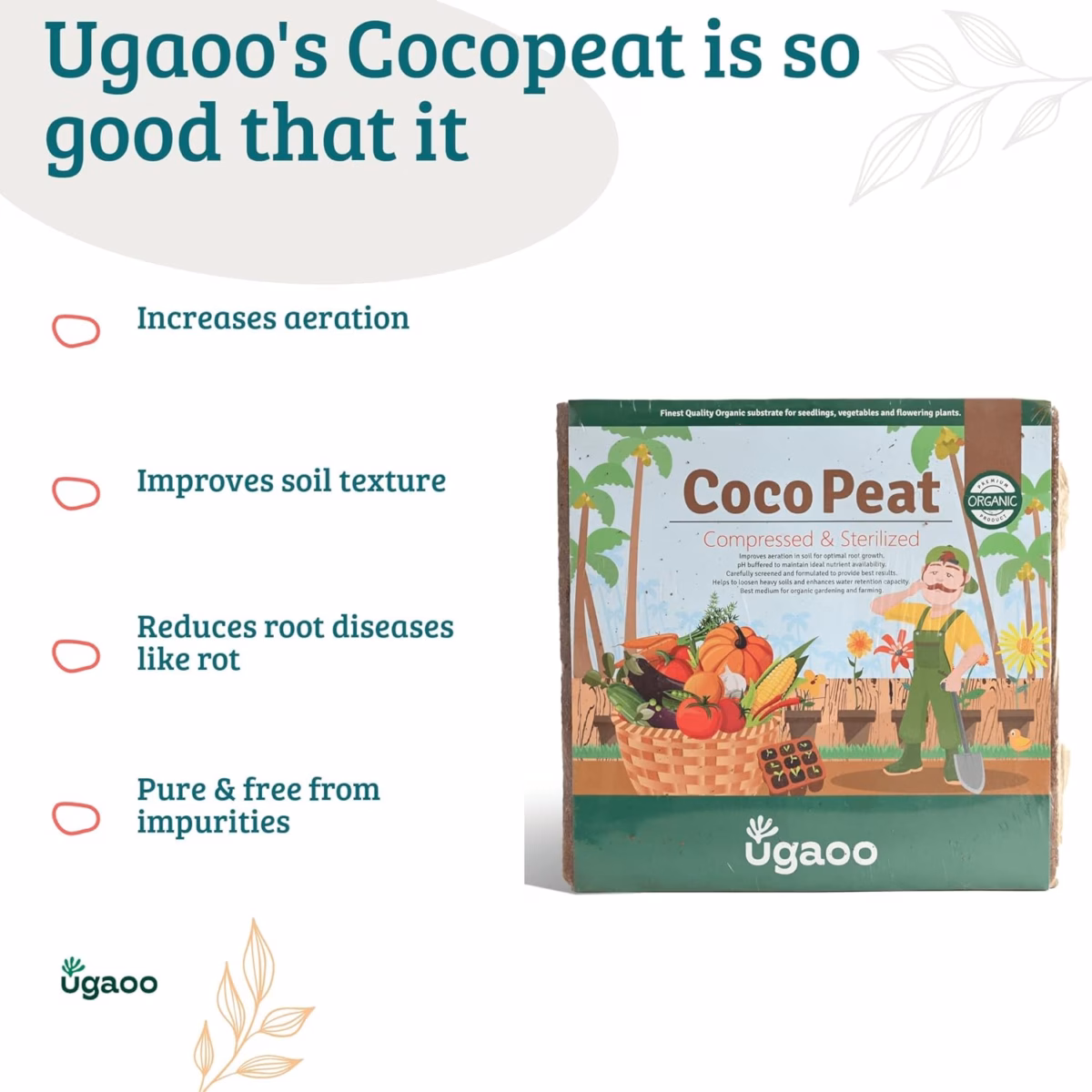 Ugaoo Cocopeat Block 5Kg | Organic Soil Substitute for Home & Garden Plants | 100% Natural Growing Medium - Image 5