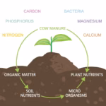 National Cow Dung Manure Fertilizer 5Kg | 100% Organic Manure for Plants & Home Gardening | Natural Soil Enricher - Image 2