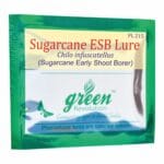 ESB Lure for Sugarcane Crop – PL216 | Green Revolution