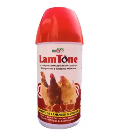 LAMTONE by Refit
