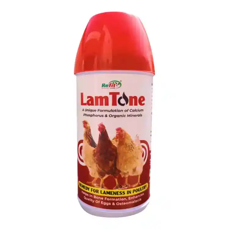 LAMTONE by Refit