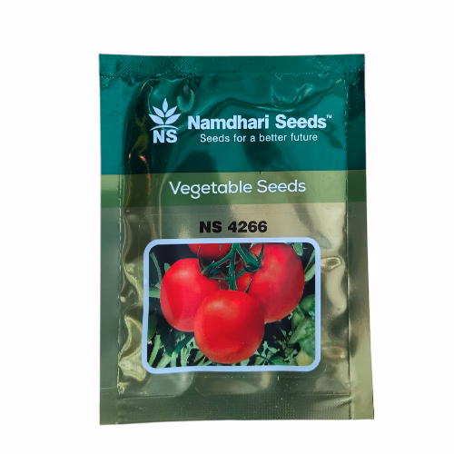 Namdhari NS 4266 (F1) Tomato Seeds – Indeterminate, Round Oblate | 100–120g | 65–70 Days Maturity