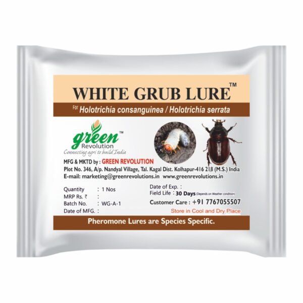 White Grub Lure for All Crops – PL214 | Green Revolution